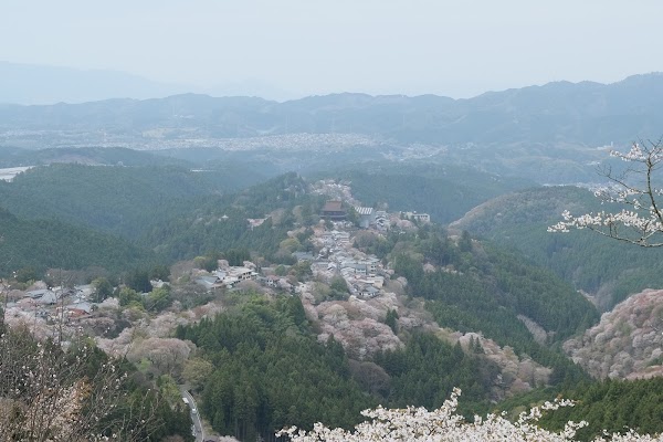 Nara 1