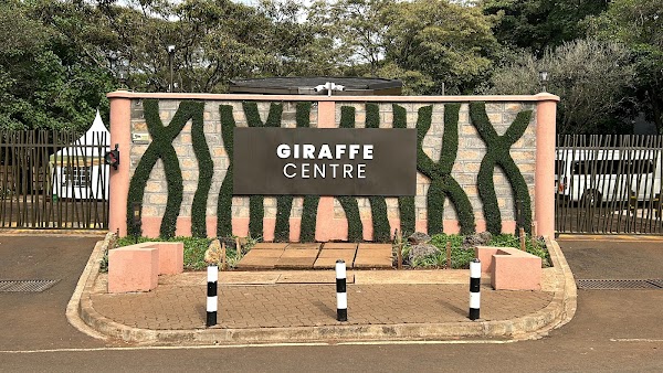 Giraffe Centre 5