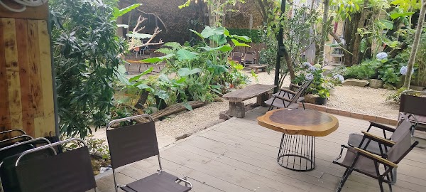 Rừng cà phê