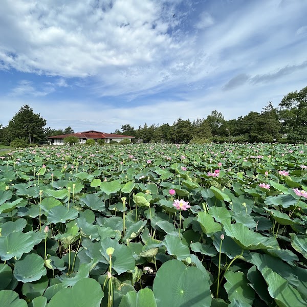 Mizumoto Park 4