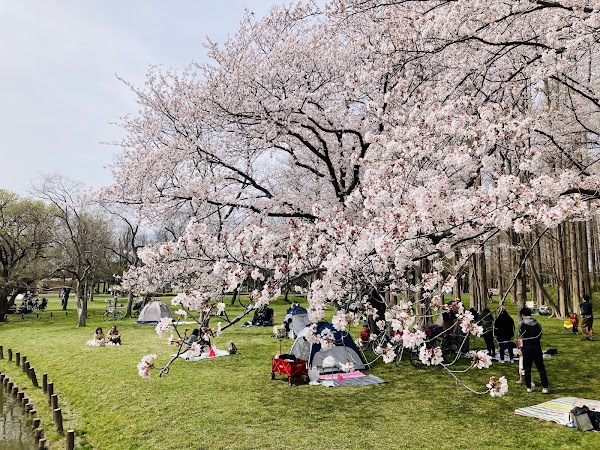 Mizumoto Park 3