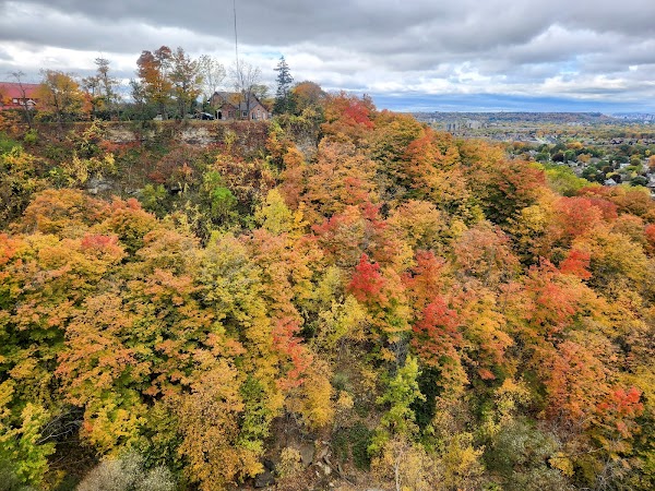 Devil's Punchbowl Conservation Area 4