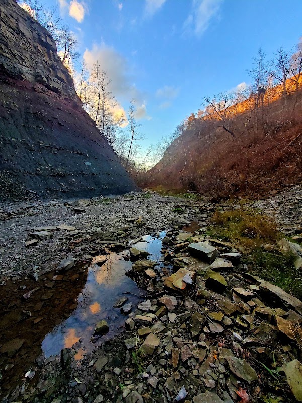 Devil's Punchbowl Conservation Area 2