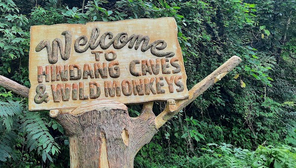 Hindang Cave and Wild Monkeys 1