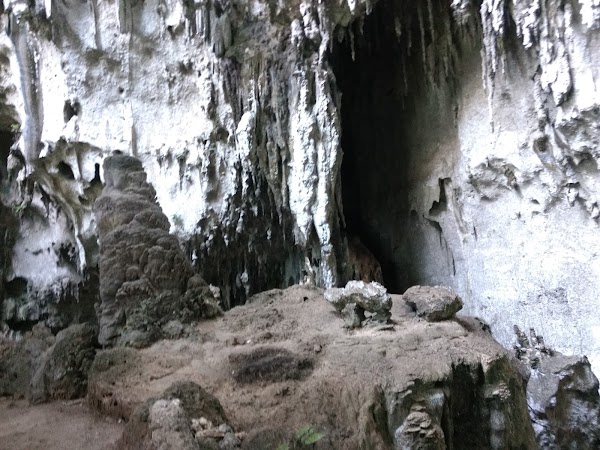 Hindang Cave and Wild Monkeys 4