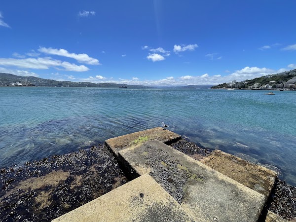 Wellington Waterfront Walk 3