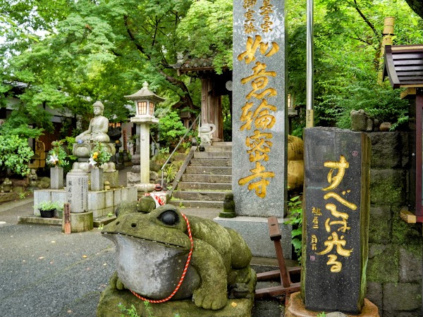 Nyoirinji Frog Temple 1