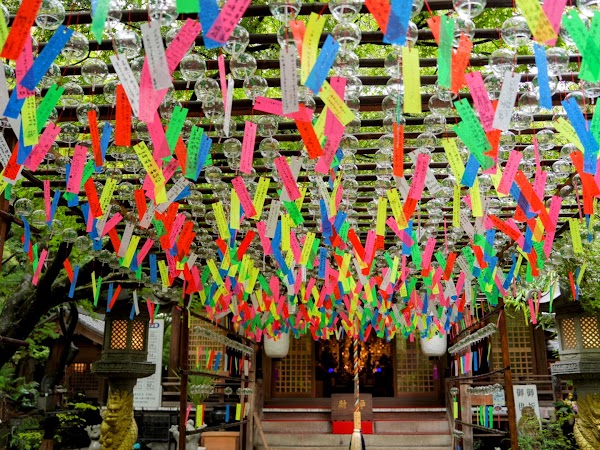 Nyoirinji Frog Temple 4