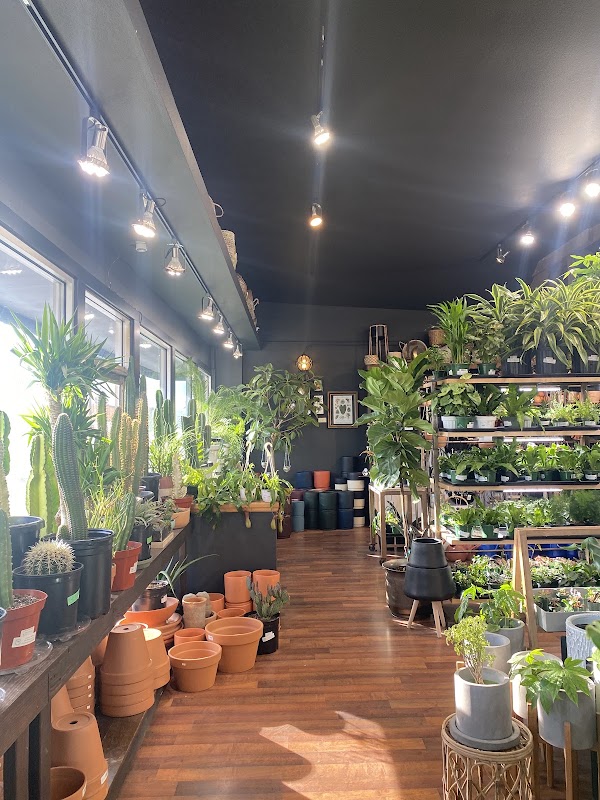 Somewhere That's Green Indoor Plant Shoppe 4