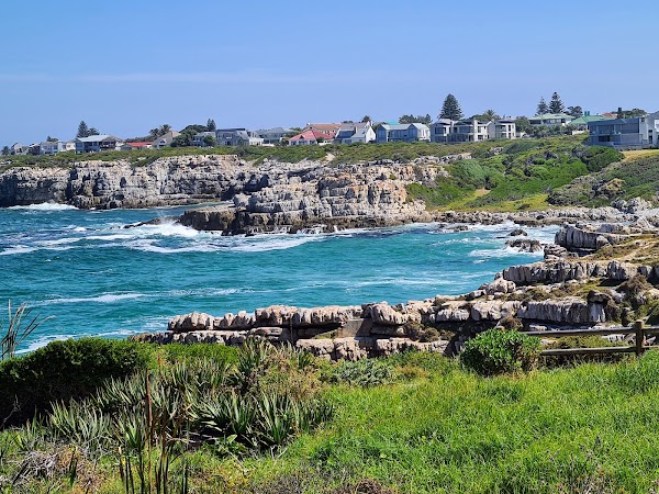 Hermanus