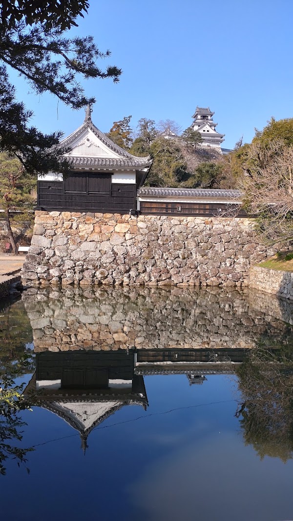 Kochi 2