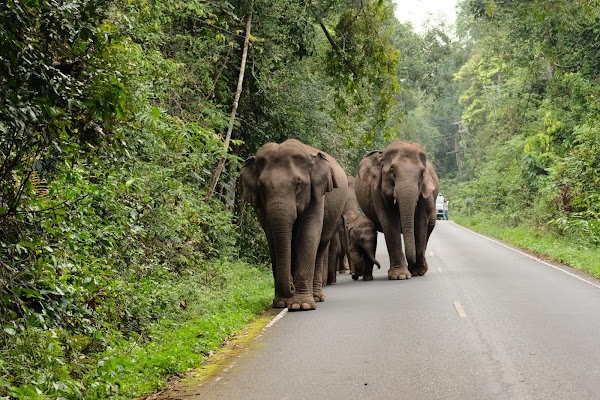 Khao Yai National Park