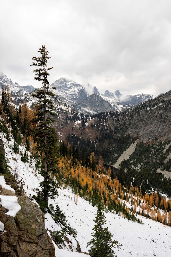 Maple Pass Loop 3
