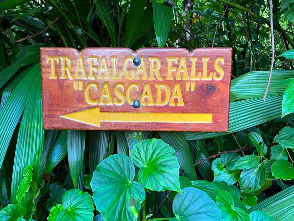 Trafalgar Falls 3