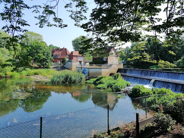 Celle 3