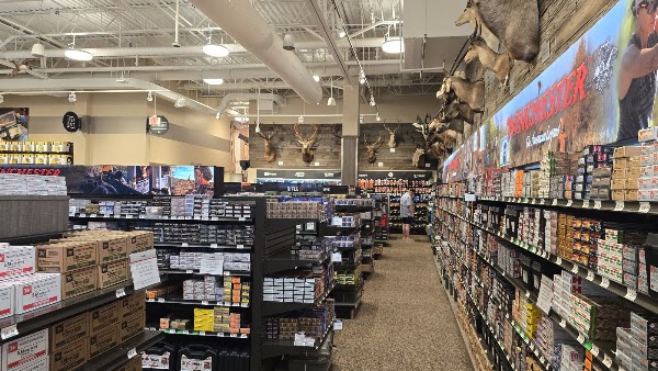 Scheels 5