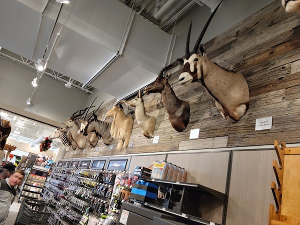 Scheels 2