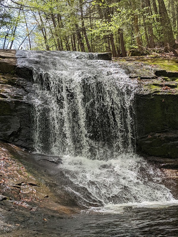 Chapel Brook 1