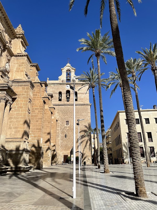 Cathedral Encarnación de Almería 4