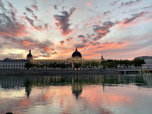 Berges du Rhône 1