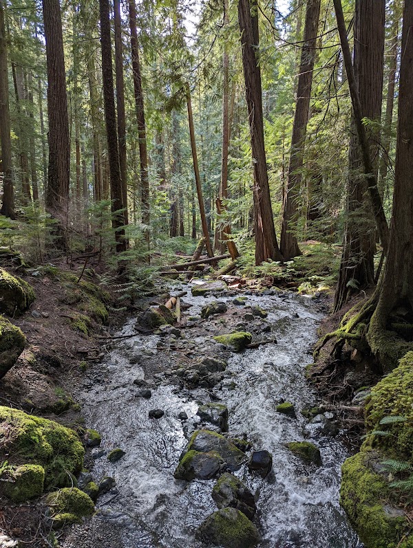 Lupin Falls Trailhead 4