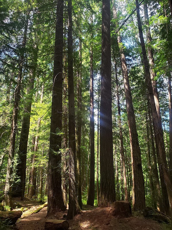 Lupin Falls Trailhead 2