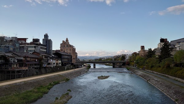 Donguri Dori