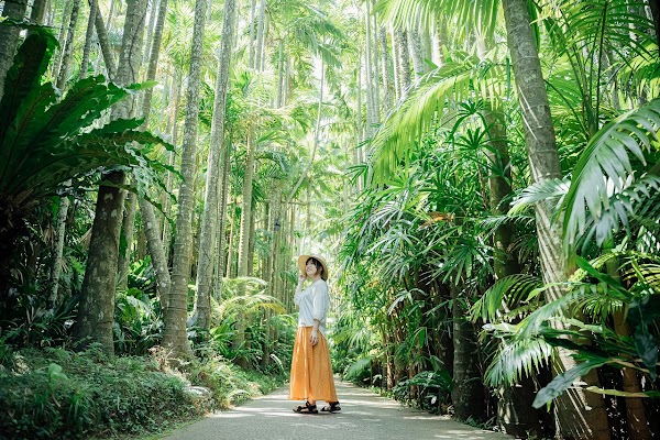 Japan 3