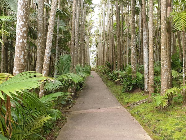 Southeast Botanical Gardens 5