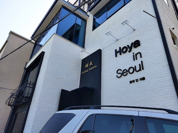 Hoya in Seoul 1