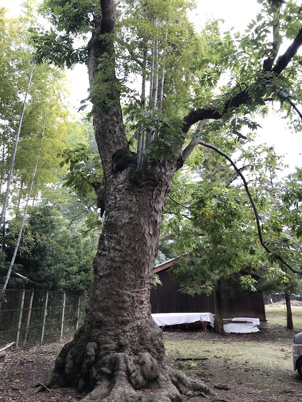 Mukuroji 1