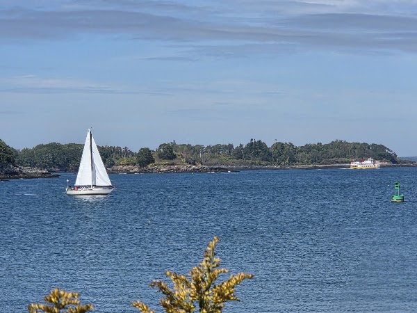 Peaks Island 3