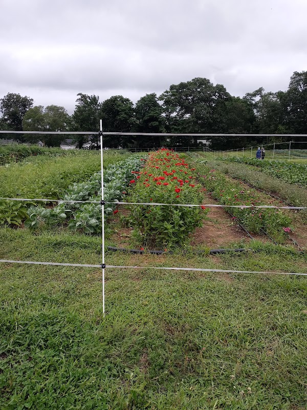 The Food Project's Reynolds Farm 1