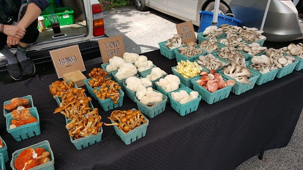 Kennebunk Farmers' Market 1