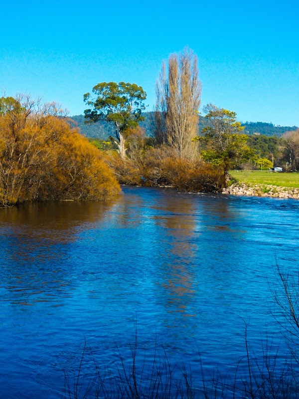 Latrobe