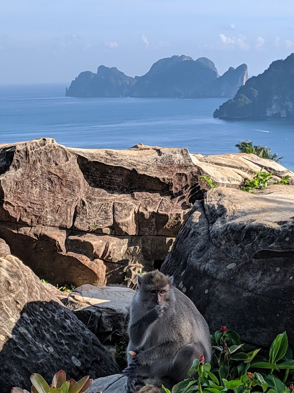 Phi Phi Viewpoint 2 2