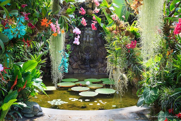 Giardini la Mortella