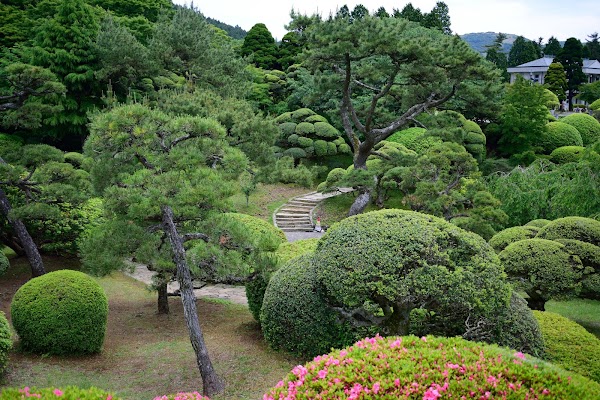Hakone 2