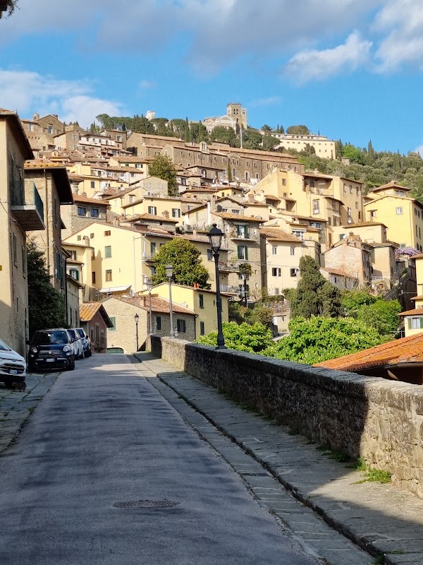 Cortona 4