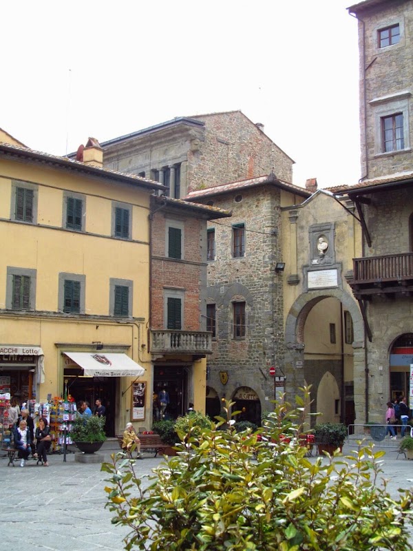Cortona 3