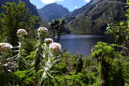 Rwenzori Mountains 4