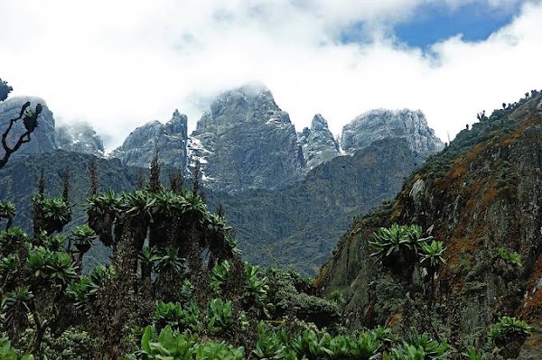 Rwenzori Mountains 3