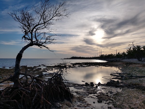 Big Pine Key