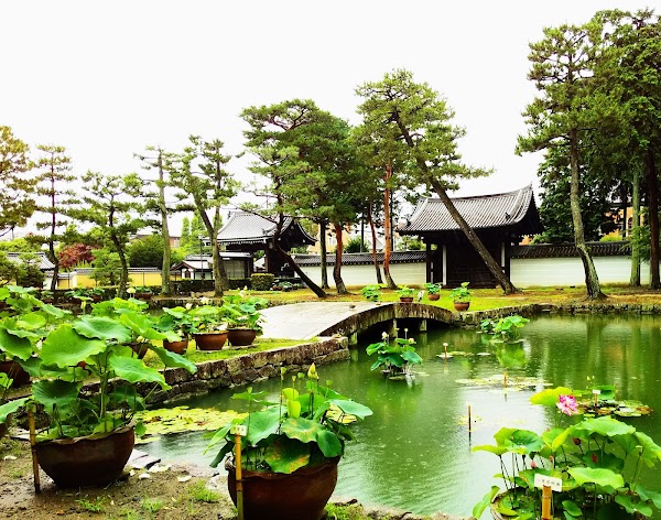 Shōkoku-ji Temple 2