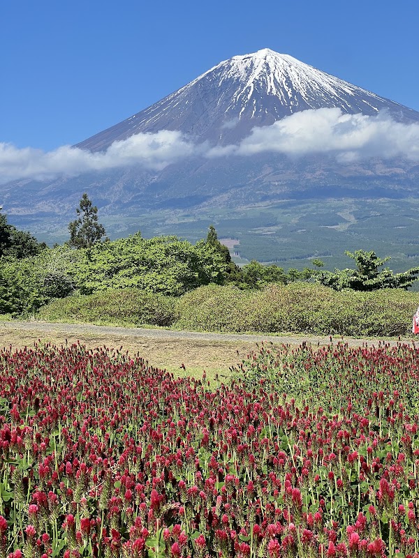 Shiraito Natural Park