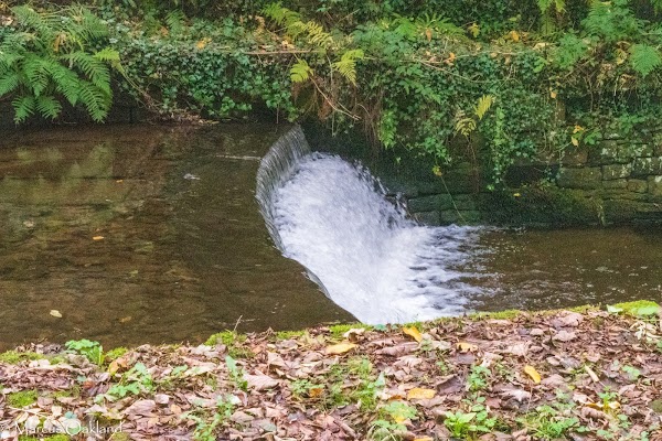 Hayfield 4