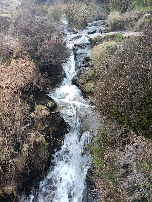 Hayfield 2