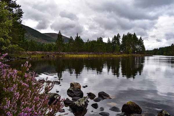 Loch an Eilein 4