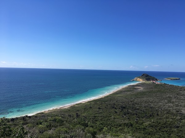 Isla Caja de Muertos