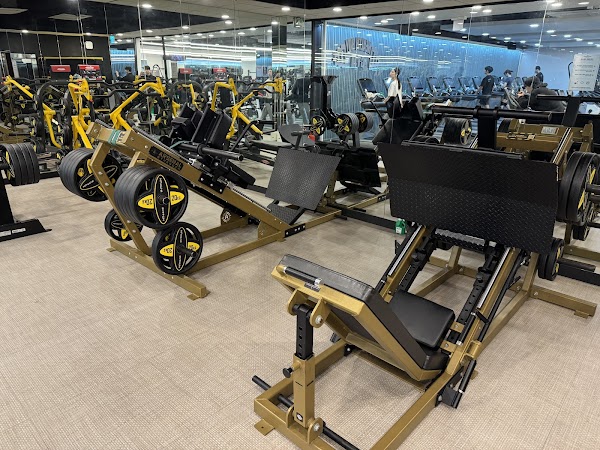 Health Boy Gym 5